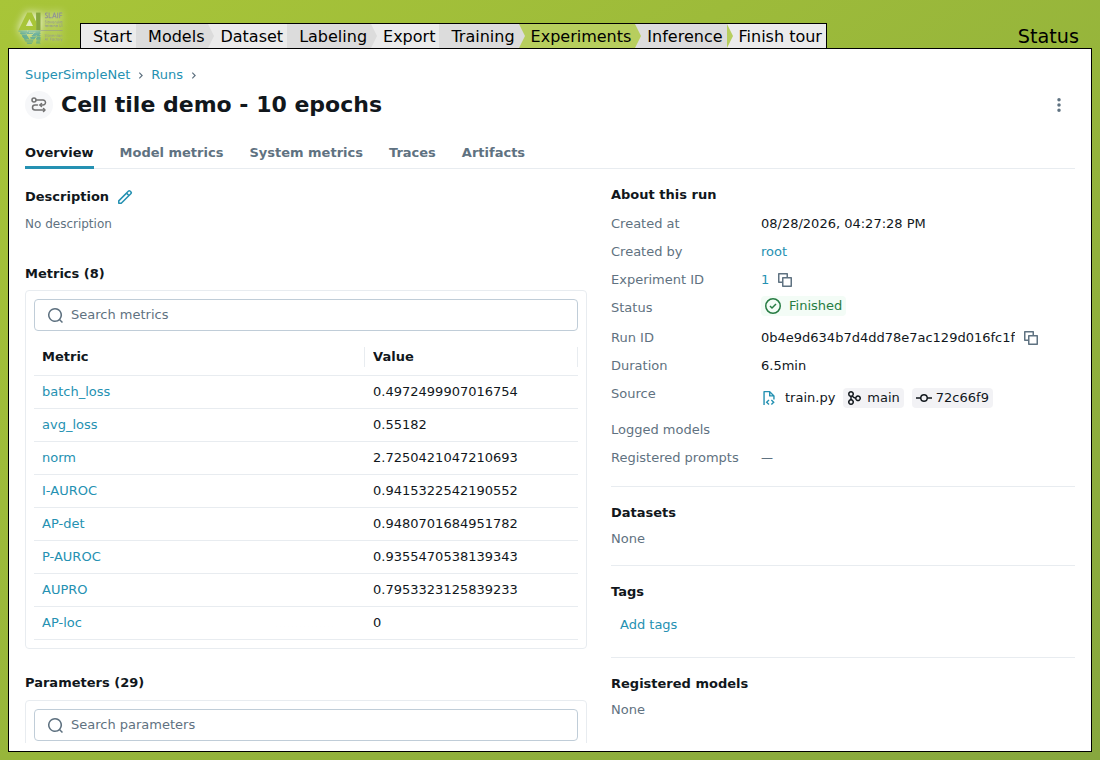 MLflow Overview page for the completed 10-epoch cell tile run.